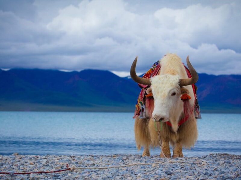 Namtso-lake1